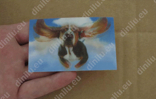 individueller Lentikulardruck als Visitenkarte (54x86mm) image