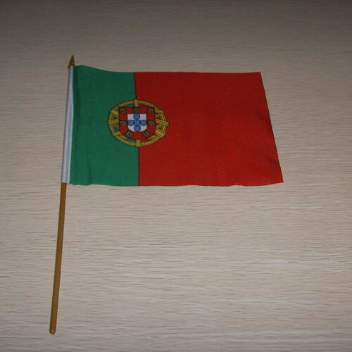 Custom printed hand held flag 20x30cm Hand held flag 20x30cm image