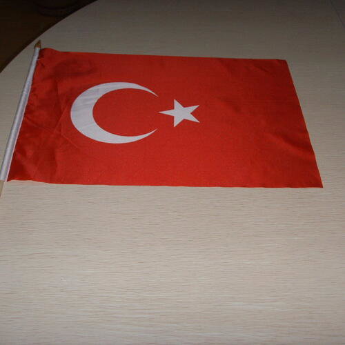 Custom printed flag 30x45cm for hand or car Car flag 30x45cm image
